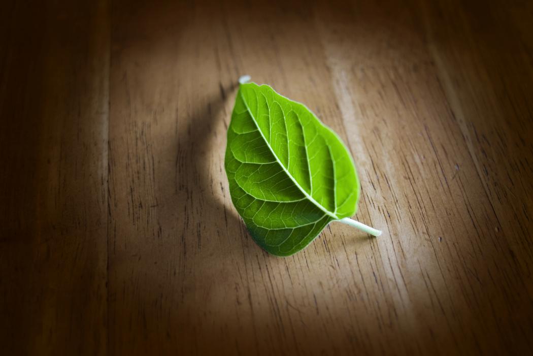 Green Cleaning 