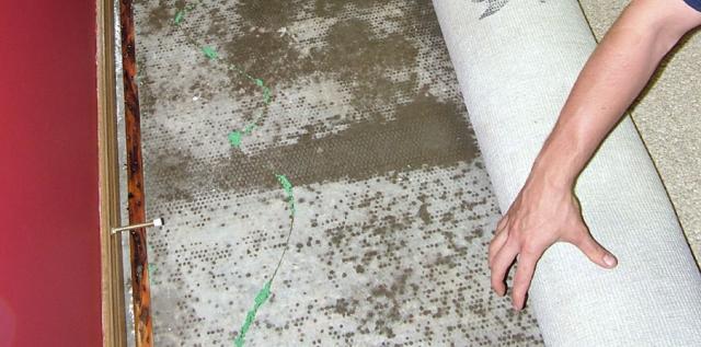 Water Damage Restoration Services